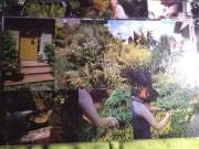 received_1065847103903606