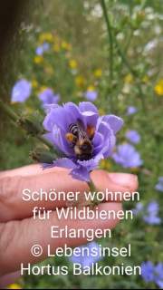 received_611493273615558