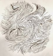 1.Carol-Newborg-Polar-Vortex-near-Denver-