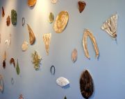 Findings- Mixed Media