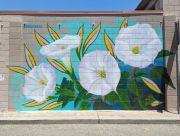 Moonflowers-for-Georgia-ORLUarts