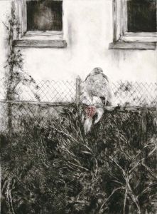 Hawk in the Garden