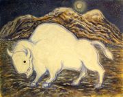 White Buffalo