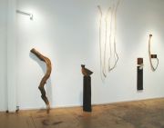 polster_vessels2-sjica3_