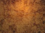 wead-photo-1-3