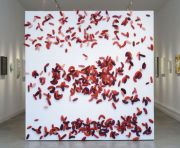 TabancaySerratiaOverSF