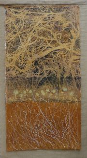 19.-Story-of-the-Mycelium_-Arastu_Salma