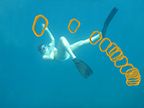 camomile_cypraea-xiii-thumbnail