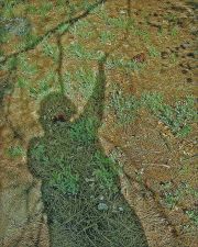 Type = ArtScans RGB : Gamma = 2.000
