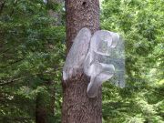 5.Apparition-tree-side