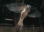 7.I-Saw-the-Wind-Within-Her