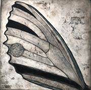 Shannon_Amidon_Swallowtail