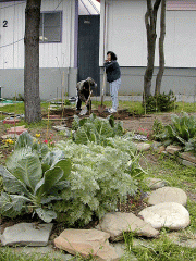 garden_grows