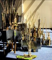 06-new-urban-habitat