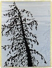 Lodgepole in Dry Sky