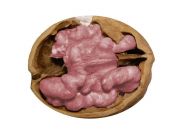 %22AllegrettiSA_Exposed2%22