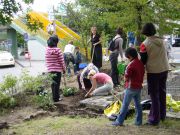 Gardens for All, Hamburg, Germany 2008