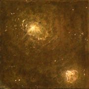cosmos2