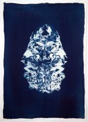 cyano_1_lamb_final_s