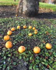 tjovancevic_goldenruleangle4_300dpi