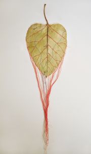 tjovancevic_running_through_150dpi