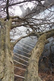 tjovancevic_synapse2_300dpi