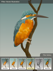 18in-x-24in-Bird-Filter