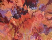 indian-paintbrush