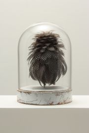 2tcmoorebestiary18x12featherswoodglass2014