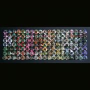mixed-roses