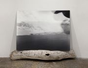 AlburyVanessa_Arctic_Future_Relics_Double