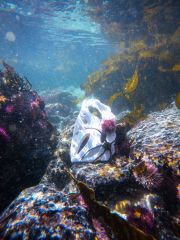 AlburyVanessa_CapeTownSA2023-02