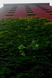 virginiamallon-atthegnaw-6