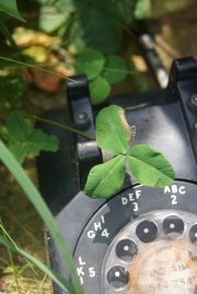 virginiamallon-outisaplace-washedinonthesalt.-2