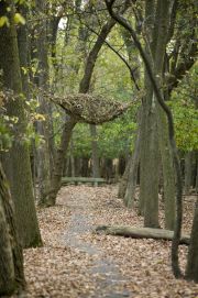 vis-c2-001-unsm-769w3308