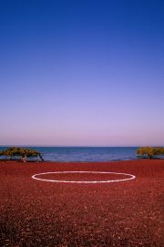 Salt Wreath-Mary River