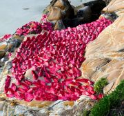 image-9_mcgrath_red-shoes-surge