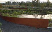 waterline_arcs-low_