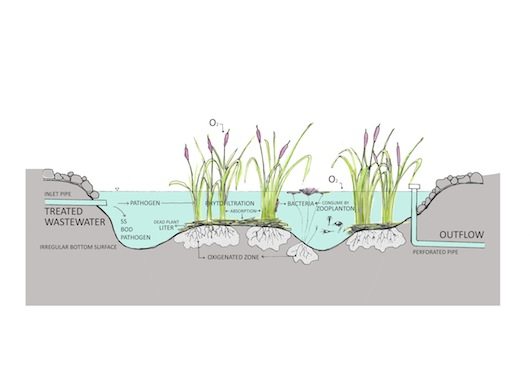 16 wetland System