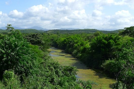4 Cauto River and Riparian Forest 